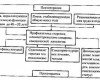 Гиперпролактинемия и вторичная аменорея у молодых женщин